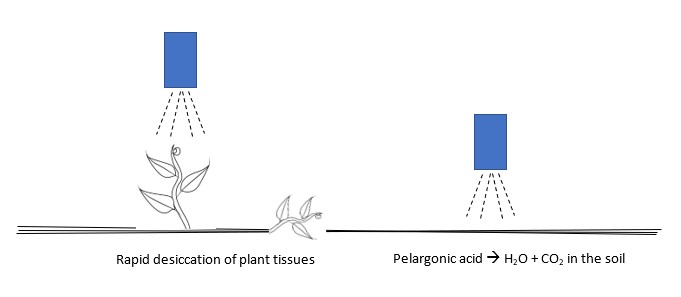 MiSSiTO Diagram